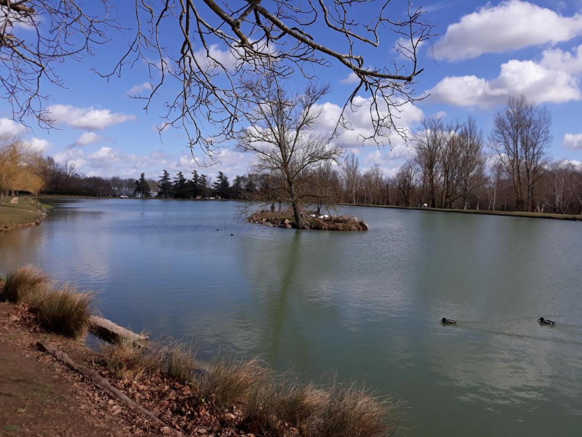 Le Mas De Doat, Gite De Charme 4 Etoiles Dans Le Triangle D Or Proche Gaillac Et Albi Senouillac ภายนอก รูปภาพ